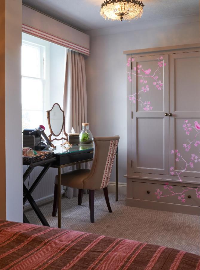 Cosy King,1008719479:JPEG