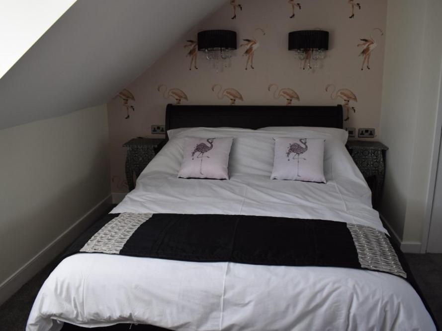 Superior King Room,1110271509:JPEG