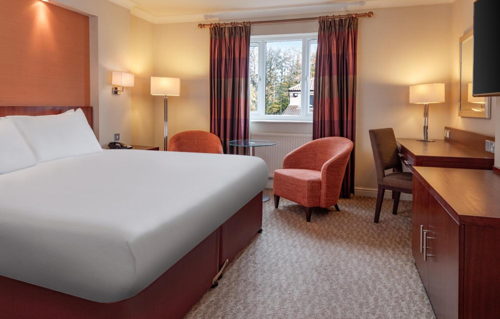 Classic King Room,1328685500:JPEG