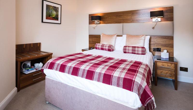Double Room,727977178:JPEG