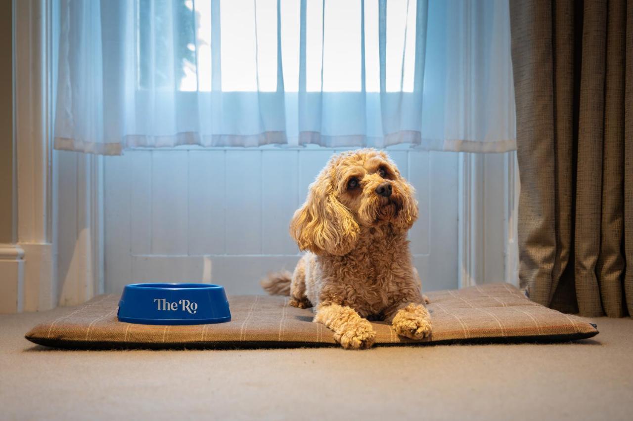 Pet Friendly Double,1498574956:JPEG