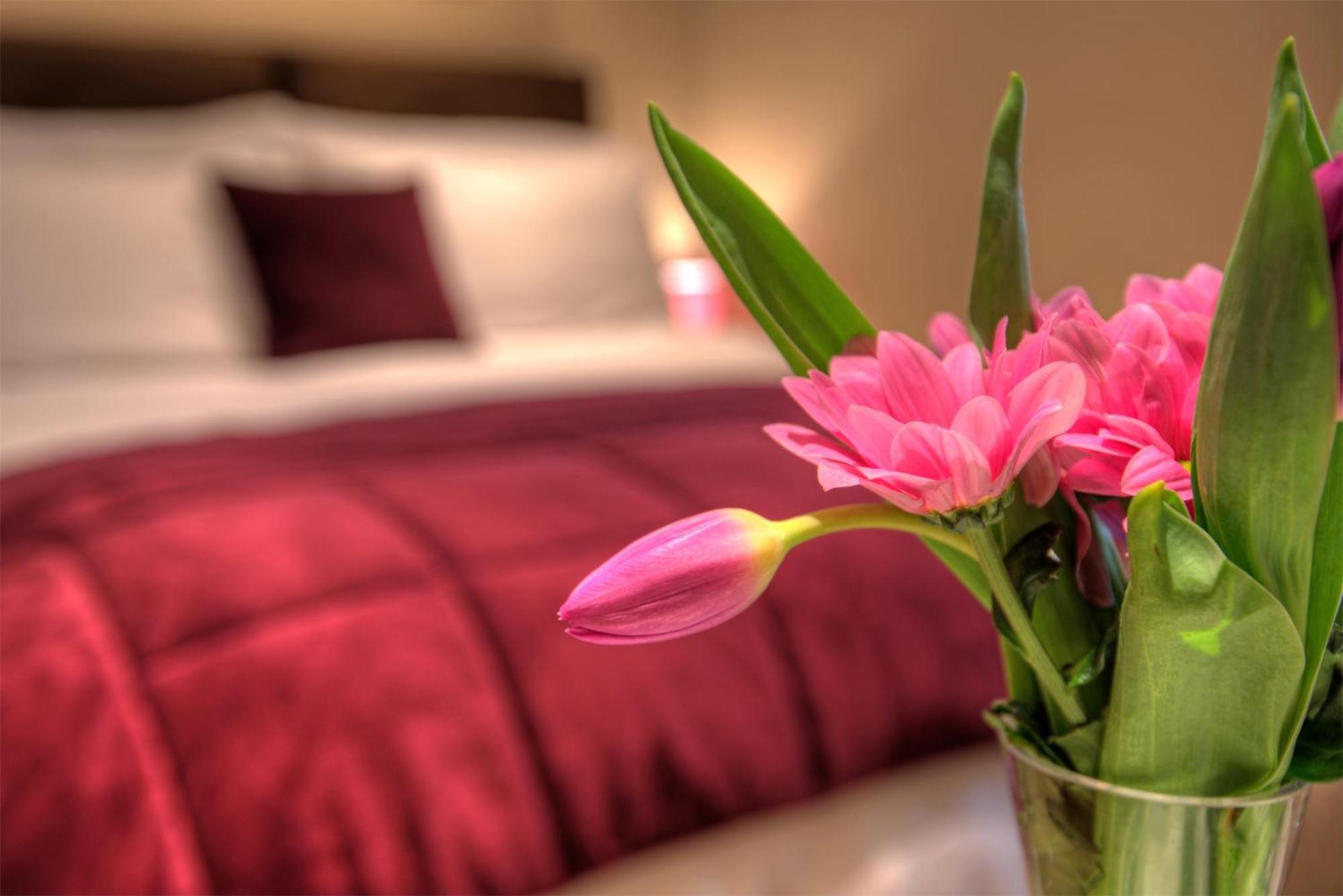 Room 3 - Budget King Small Room inc Terrace - Ensuite with Shower