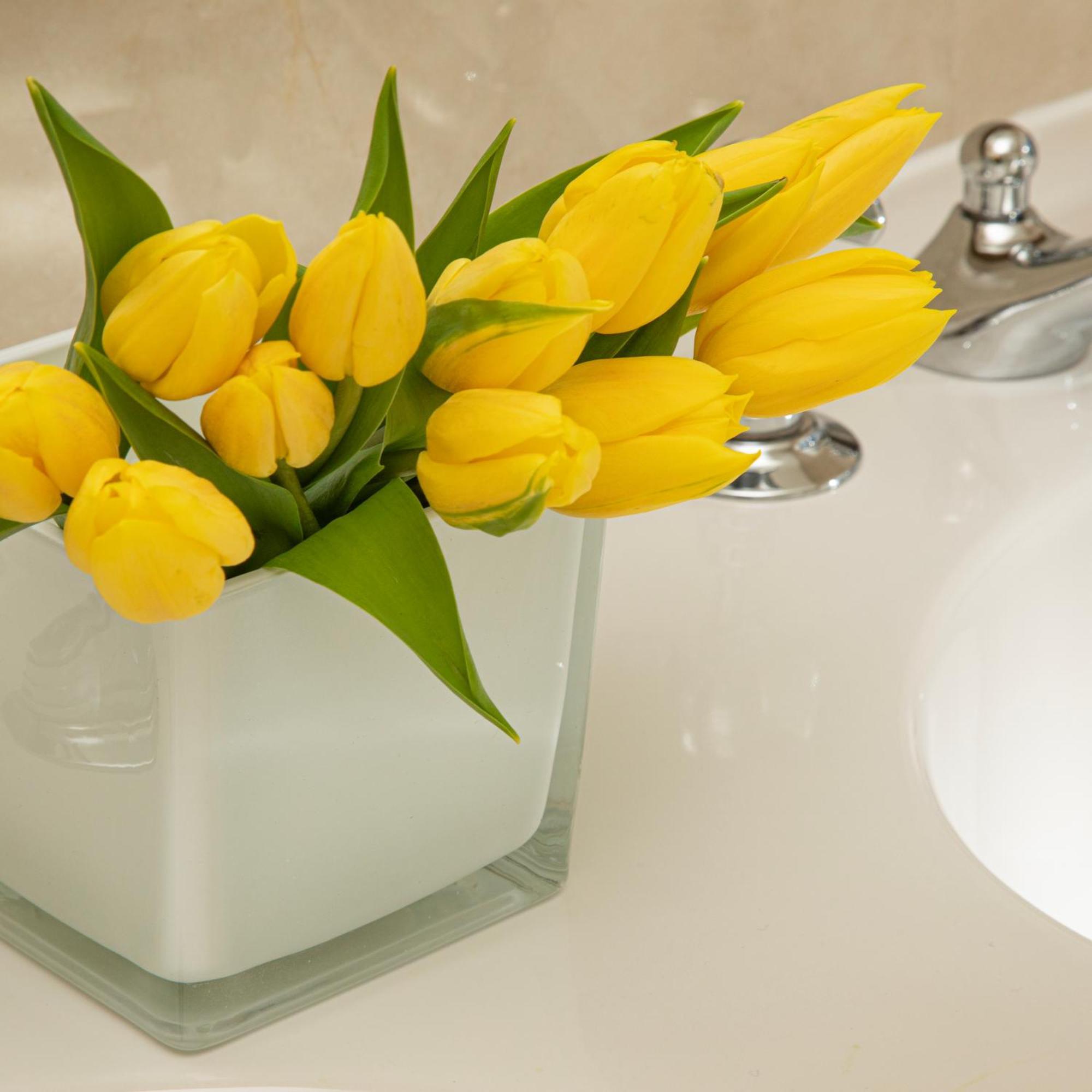 Small Walled Garden Room,1541364733:JPEG