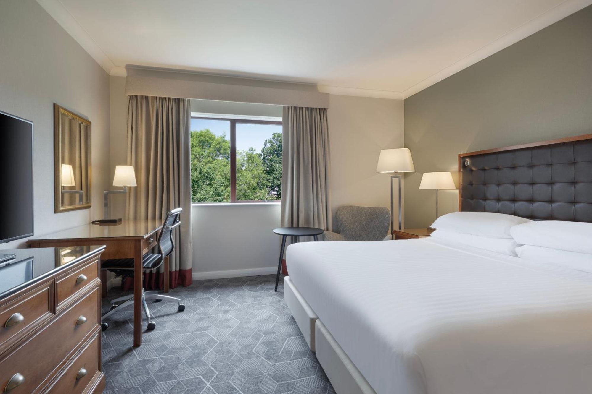Deluxe King Room,1709938967:JPEG