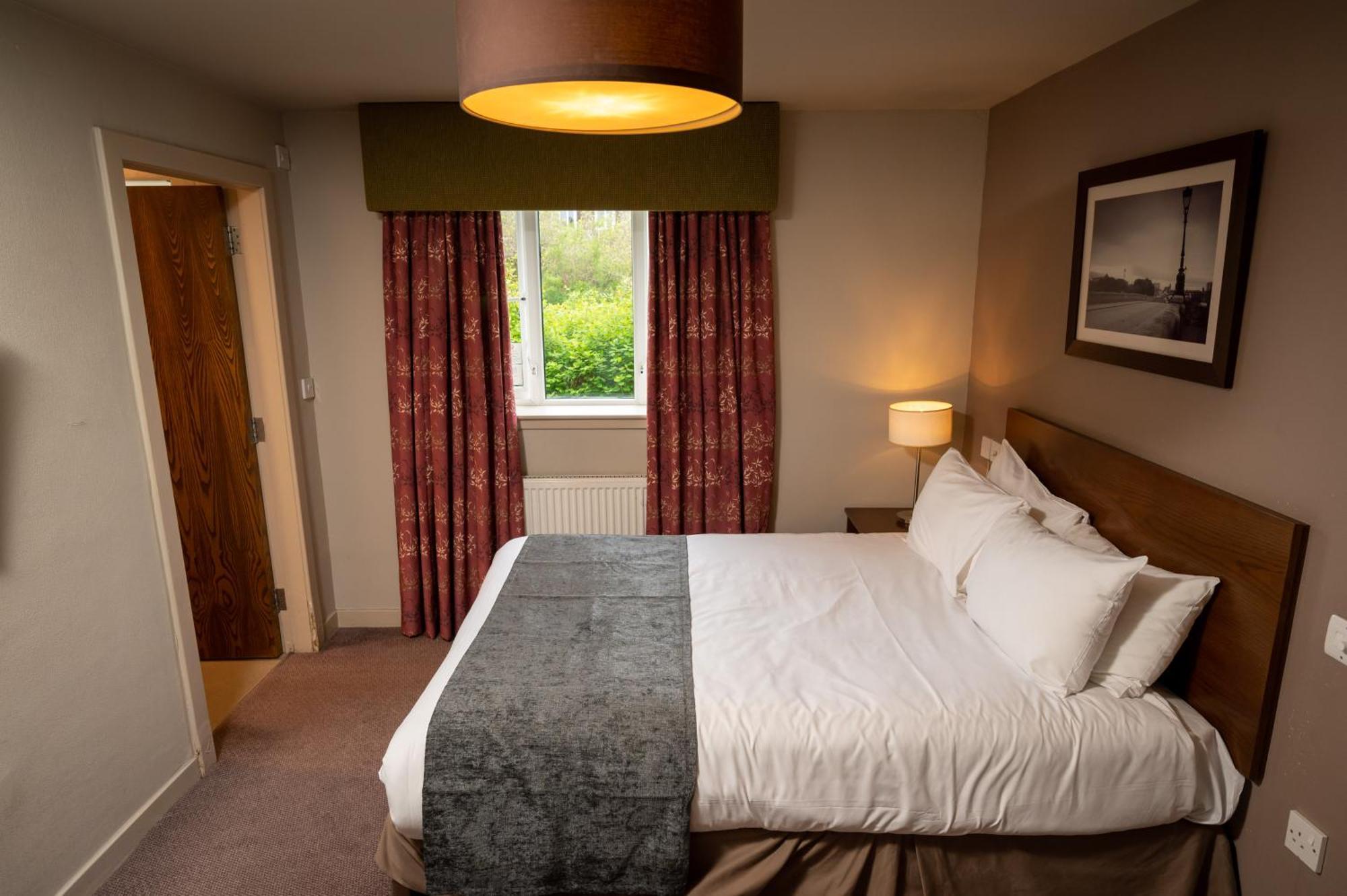 King Room,1552053460:JPEG