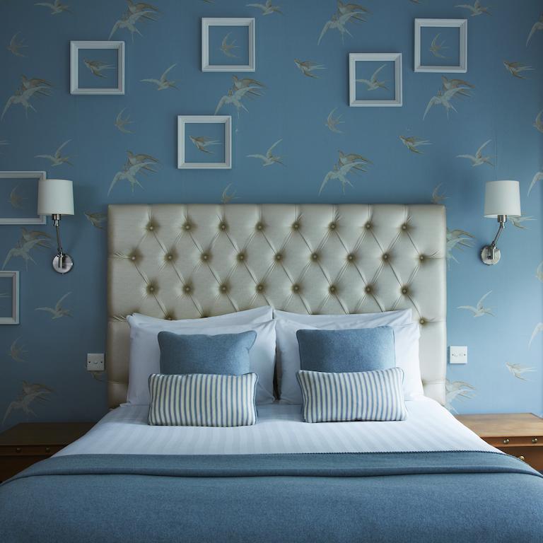 Standard King Room,156631794:JPEG