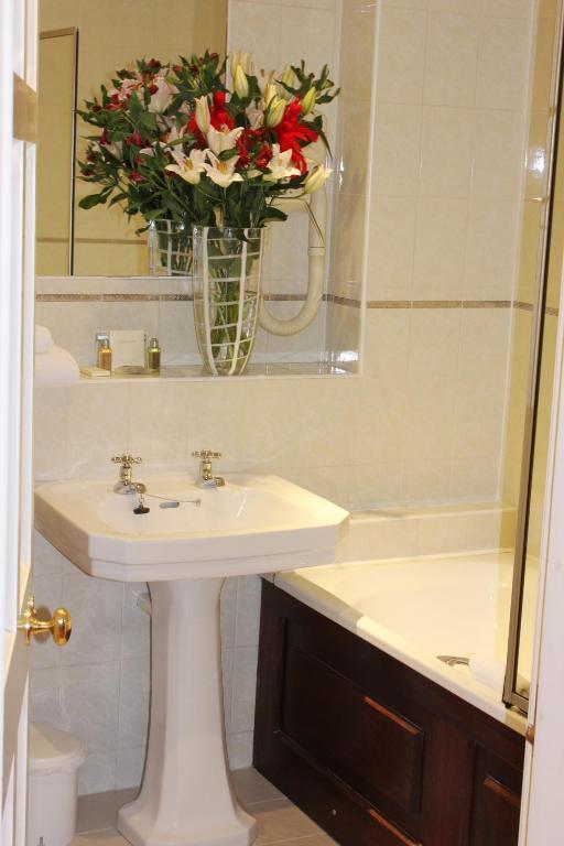 Standard  Double Room