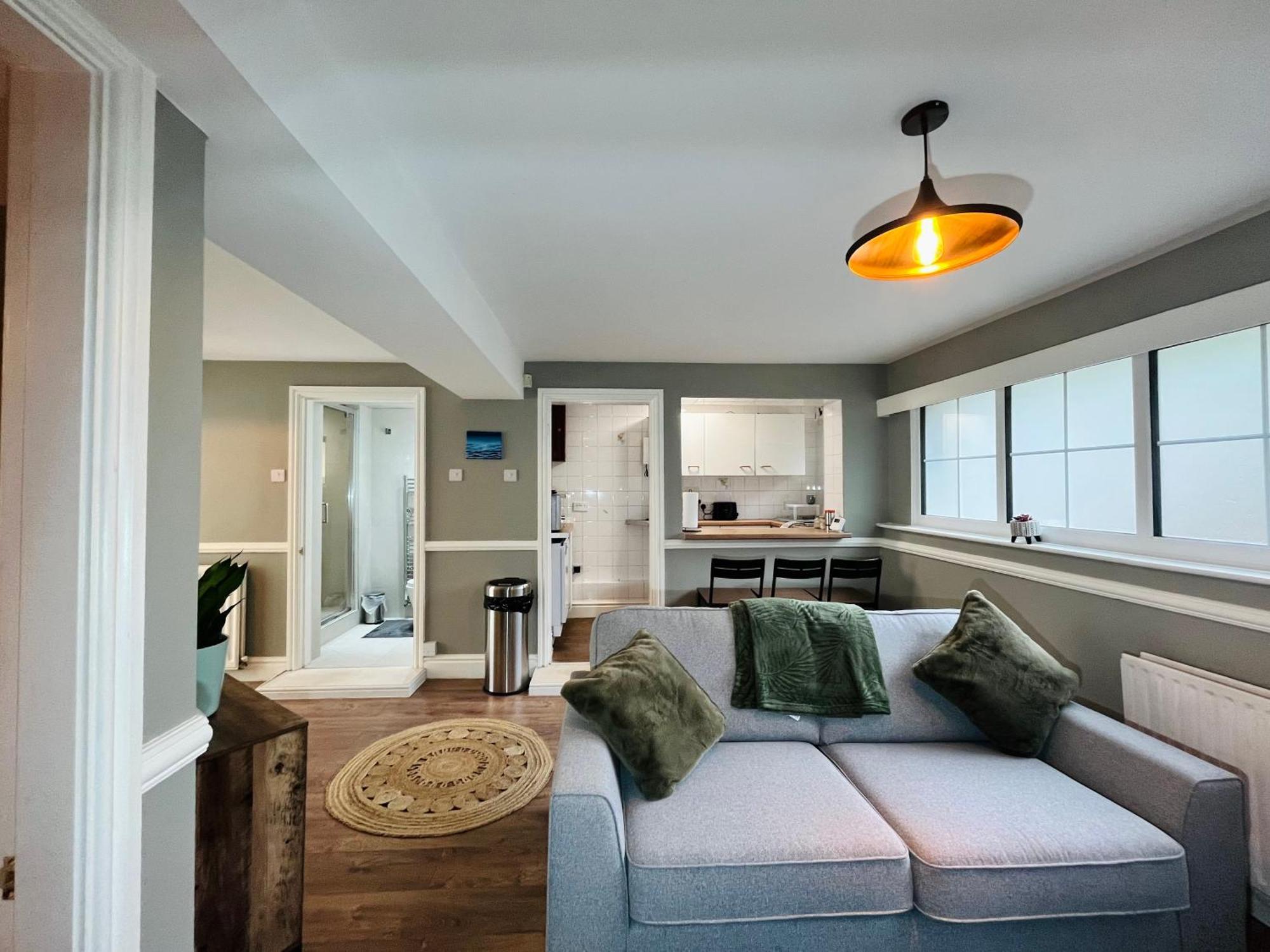 Deluxe One-Bedroom Apartment