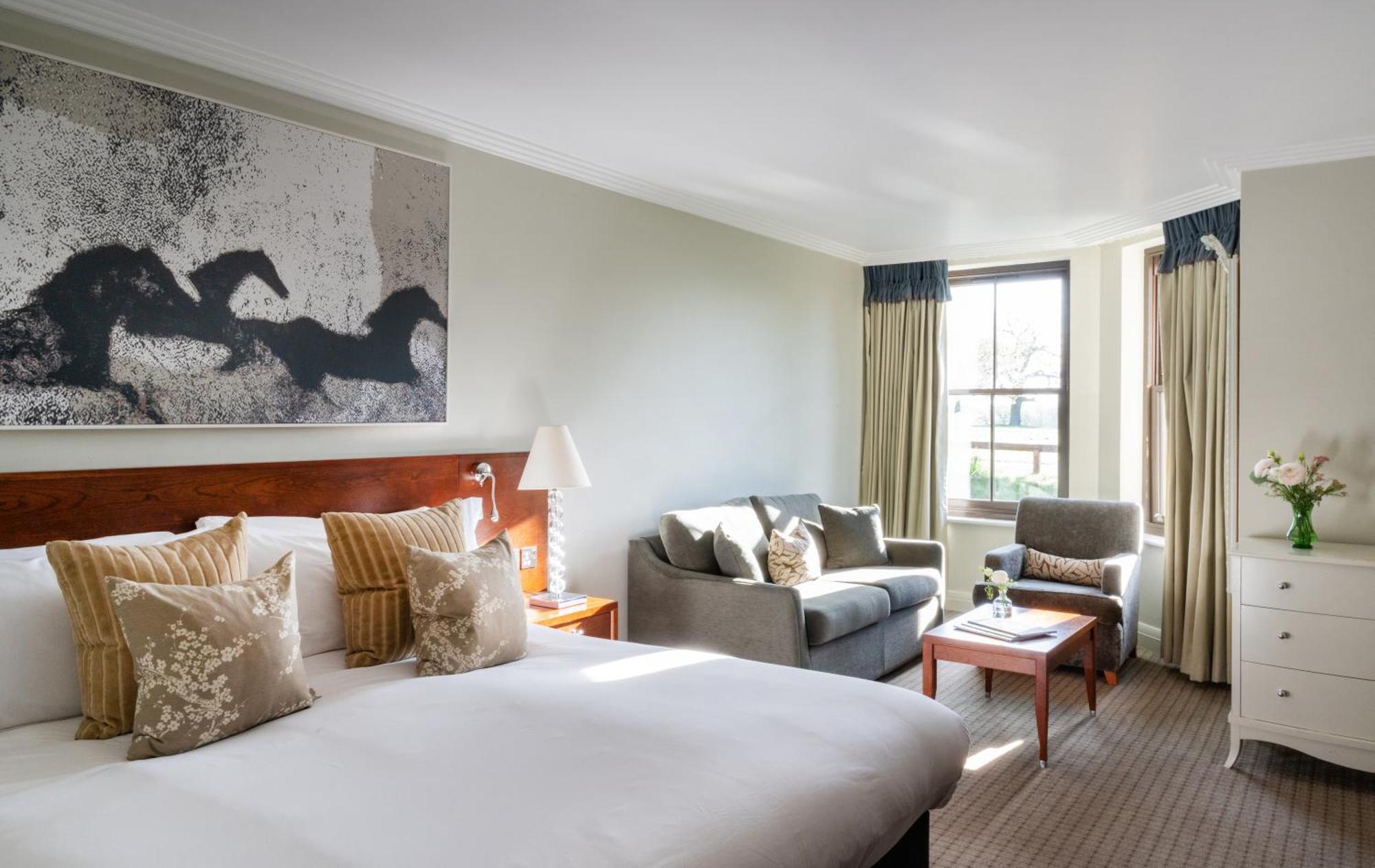 Superior Double or Twin Room with Feature