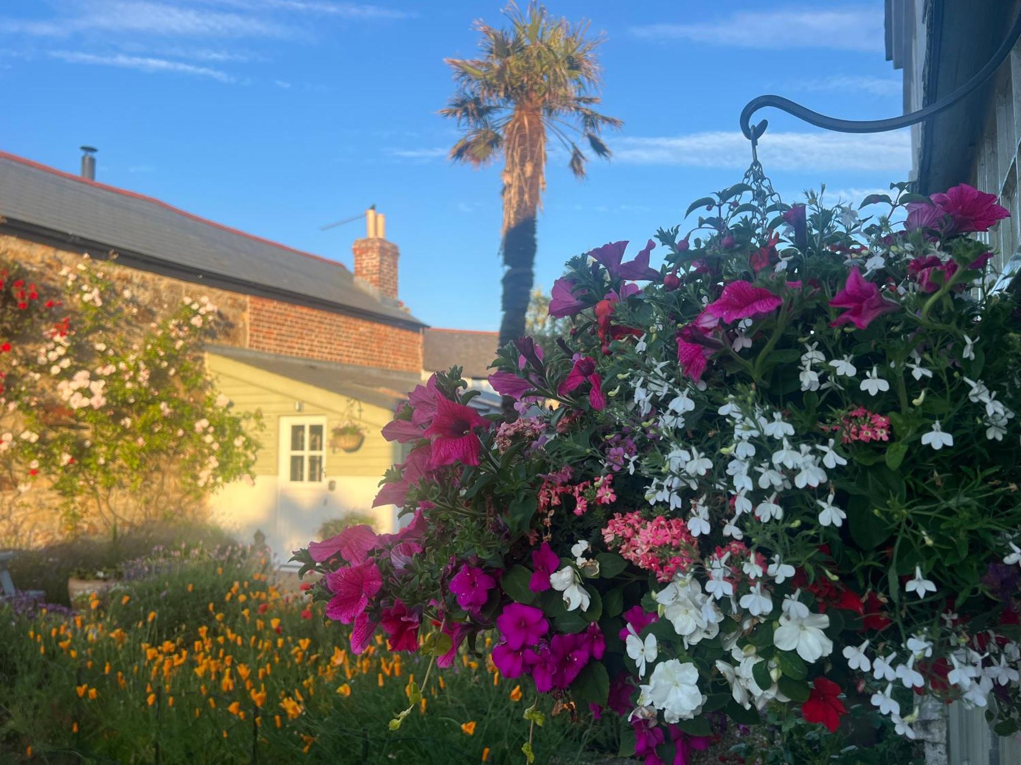 Deluxe Room Garden View