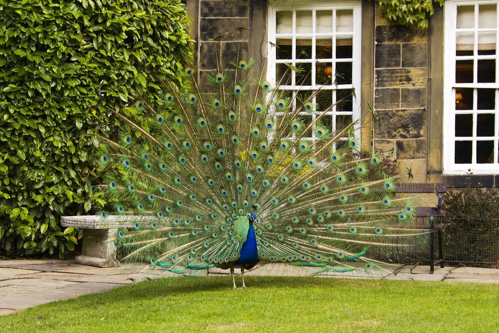 Executive Double,1215378739:JPEG