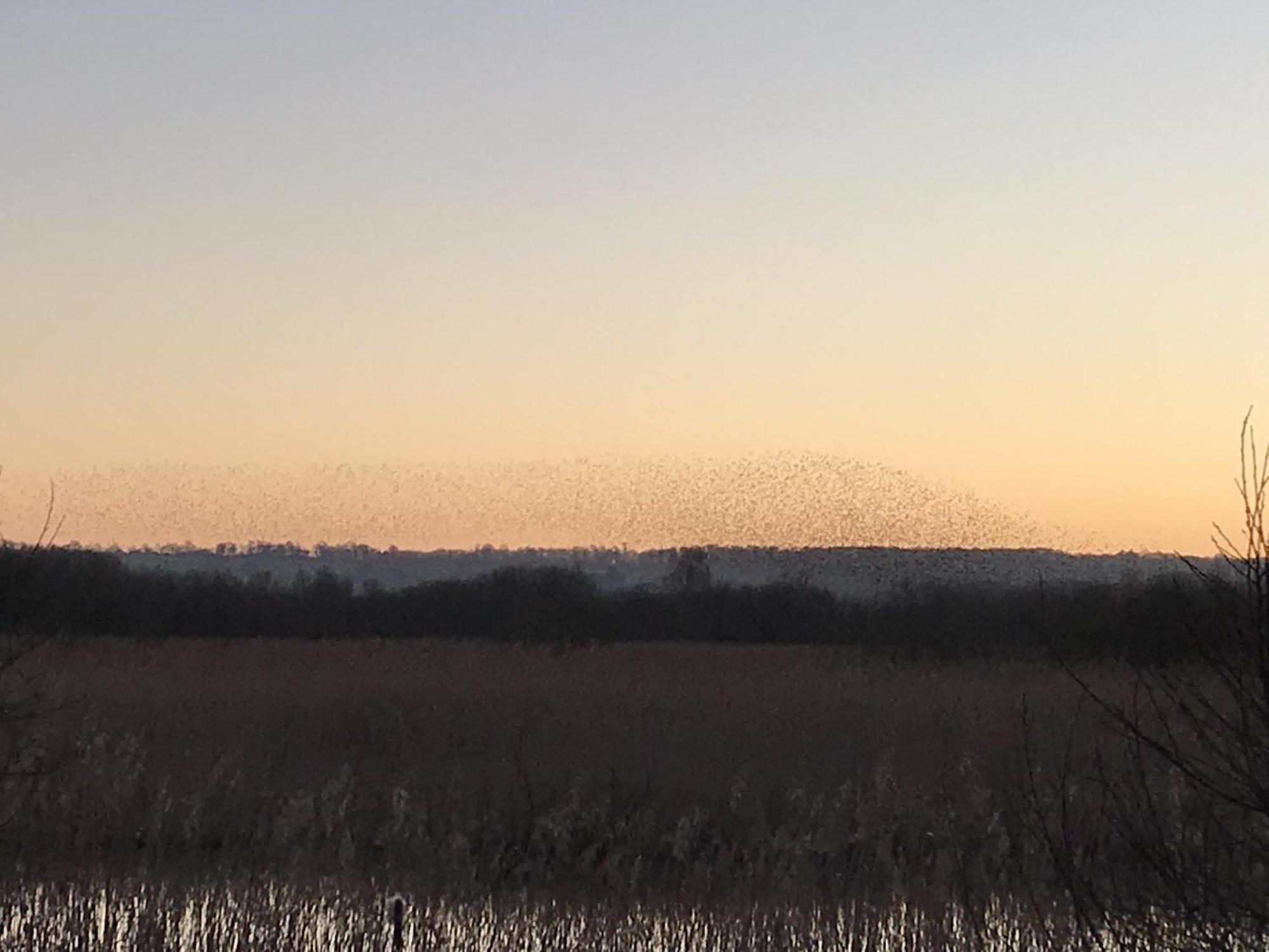 Comfort Triple Room,1636813153:JPEG