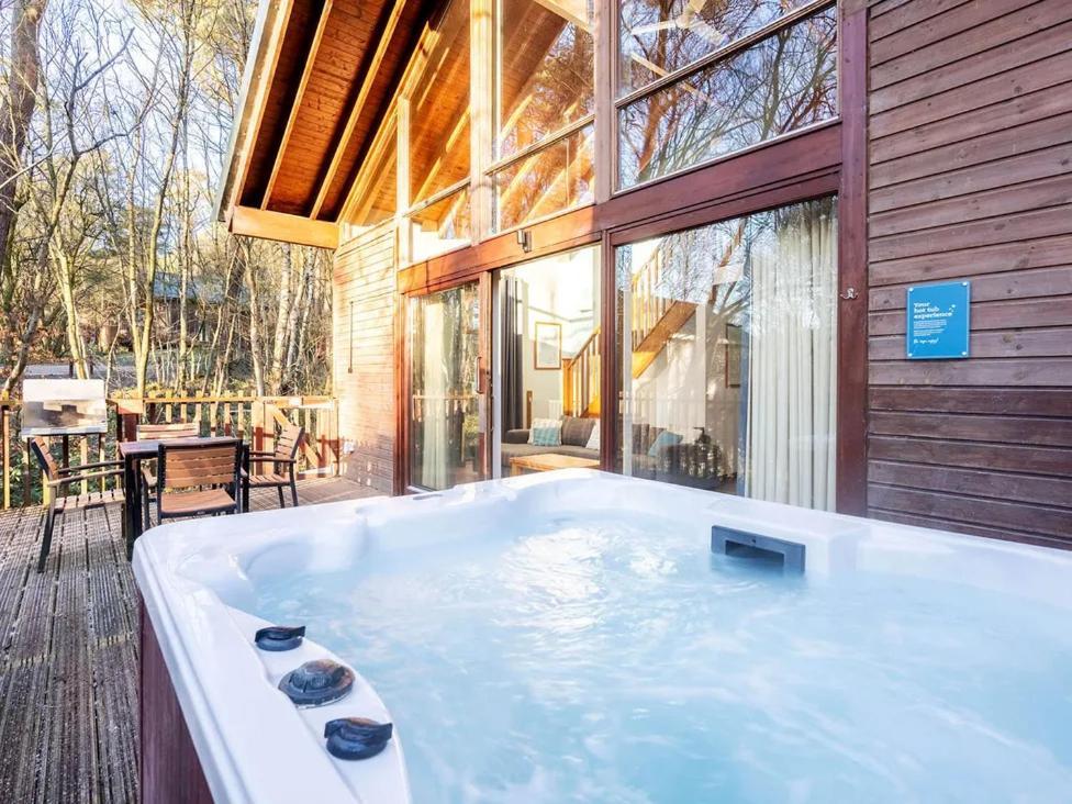 Silver Birch Cabin