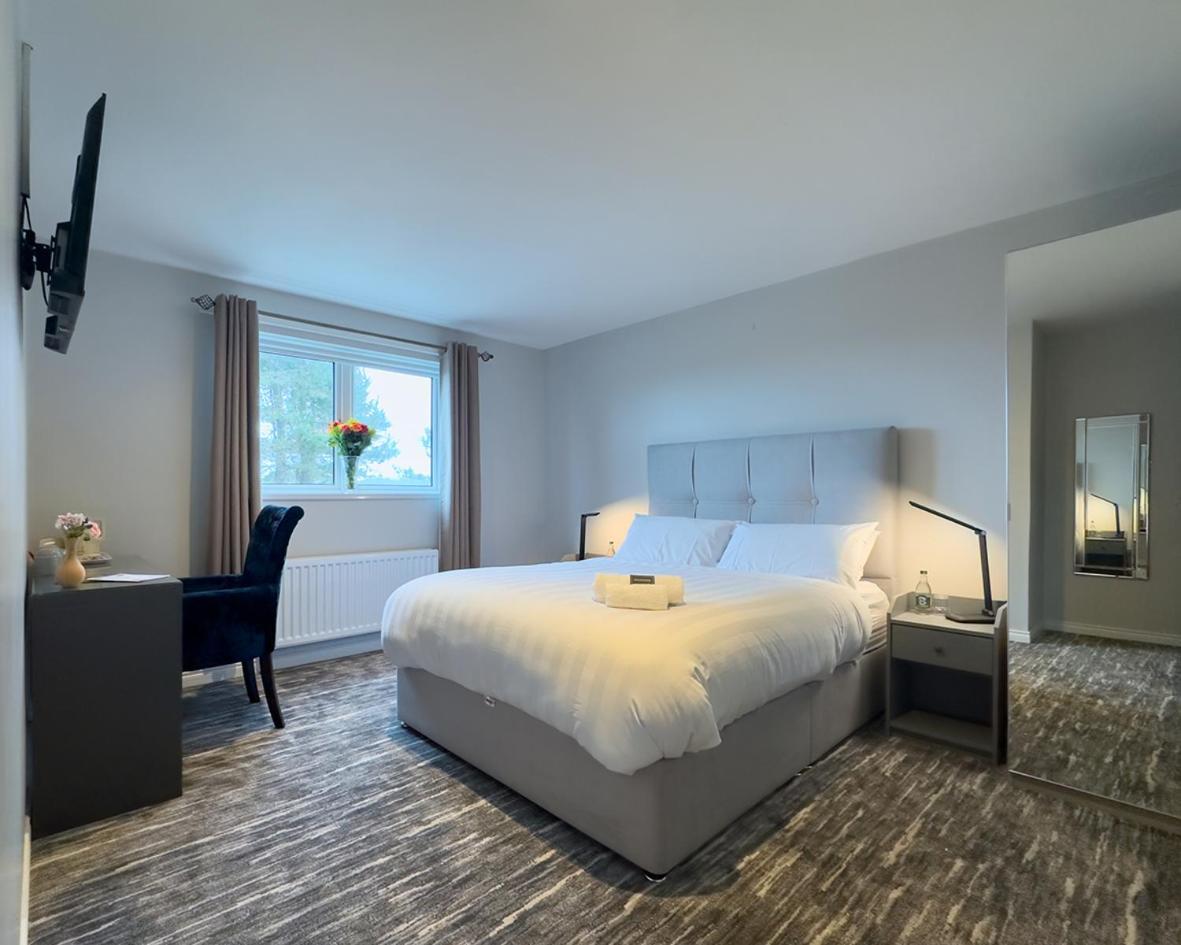 Deluxe King Room