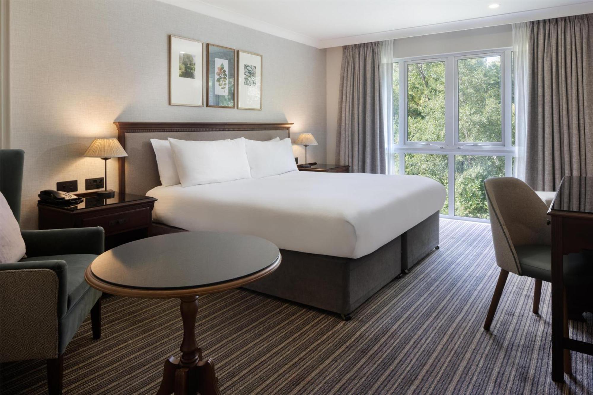 Deluxe King Room View,1703546360:JPEG