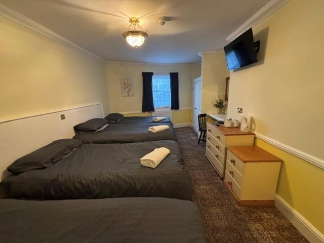 Family Room with Bathroom,1730062047:JPEG