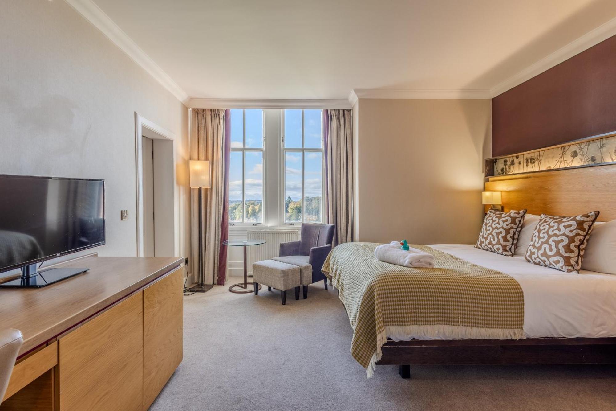 Double Plus Room,1742570396:JPEG