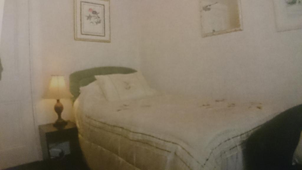 Single Room with Shared Bathroom,376887136:JPEG