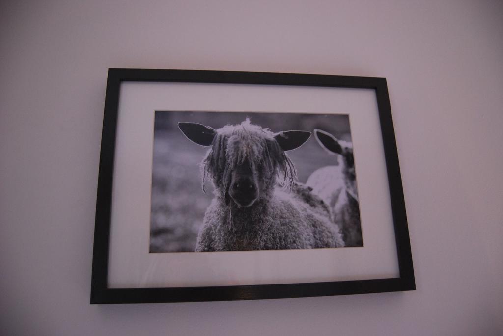 King Room,537841875:JPEG