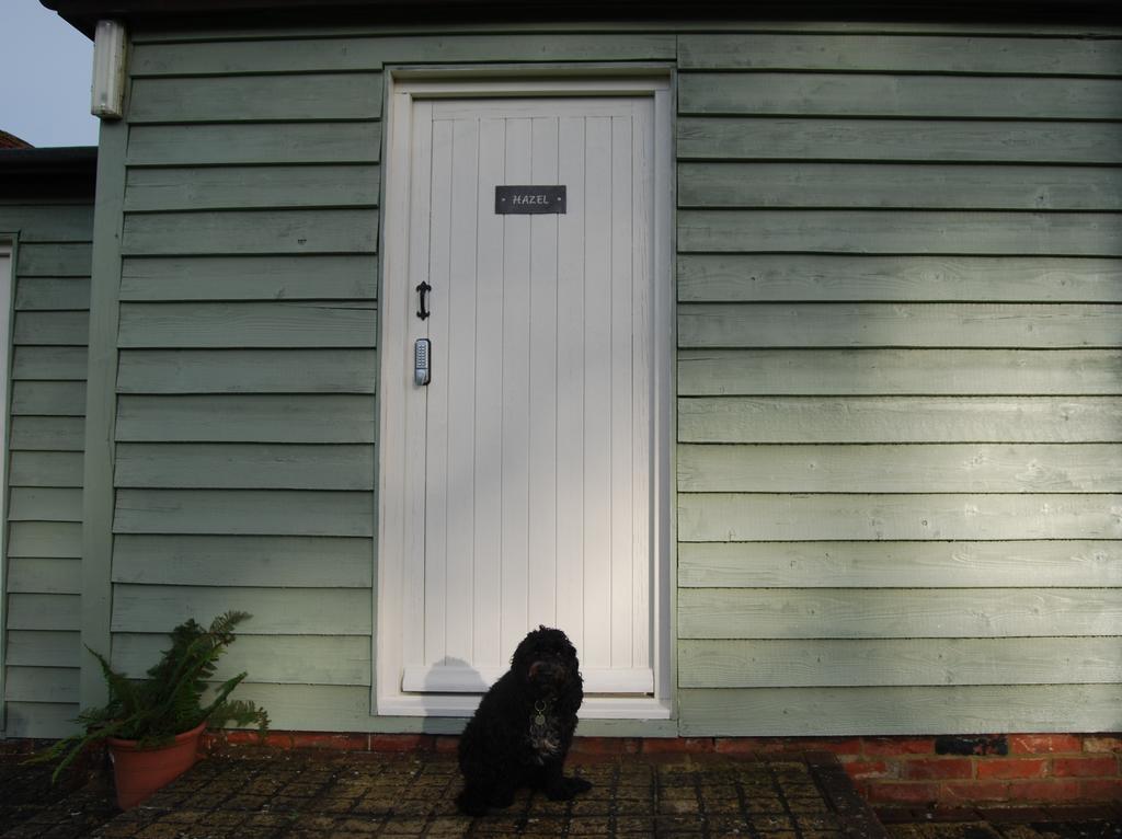 Double Room,537841917:JPEG