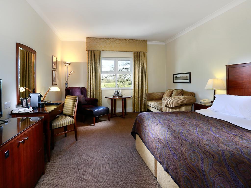 Deluxe King Room,253172433:JPEG