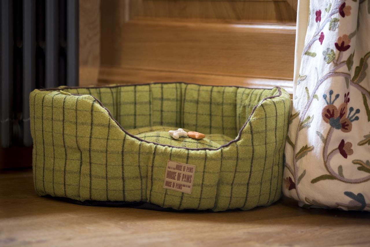 Deluxe King Suite (Dog Friendly)