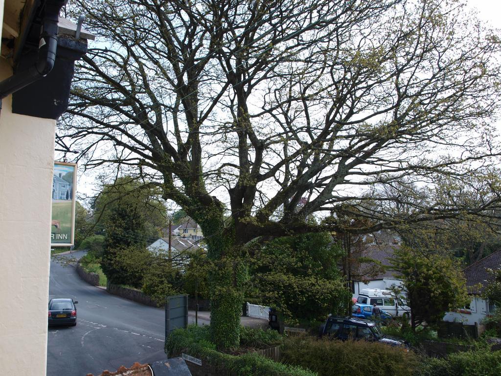 Superior Double Room,1546165627:JPEG