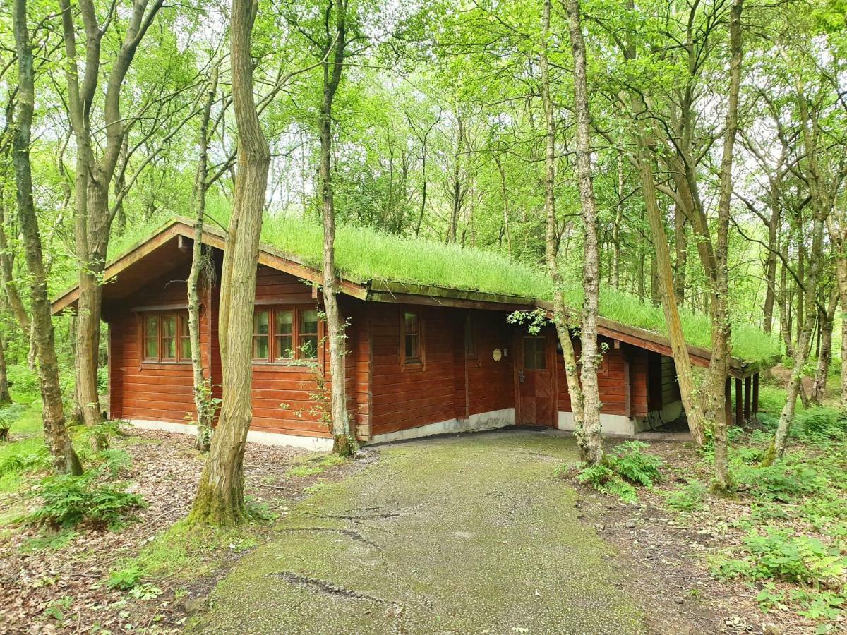 Woodland Lodge self catering,1246776892:JPEG