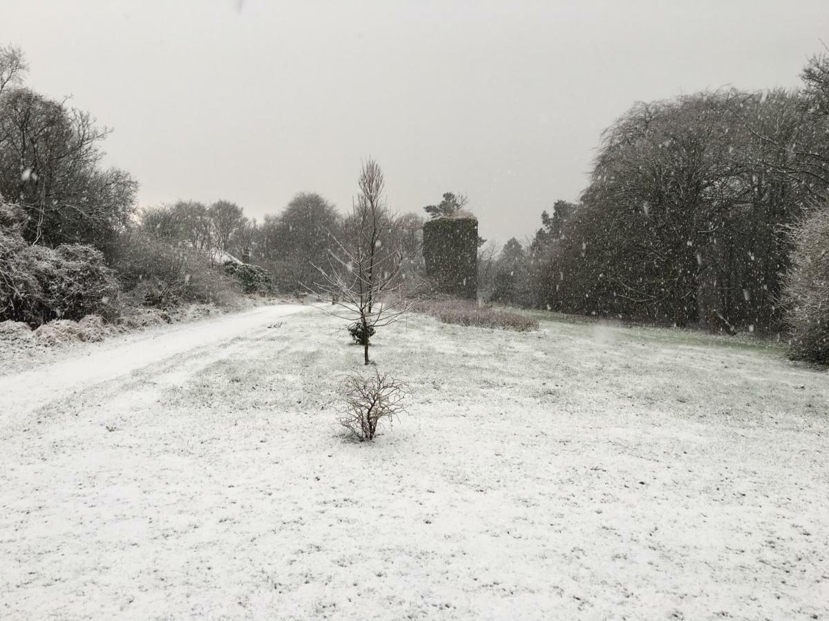 Deluxe Double Room,853703876:JPEG