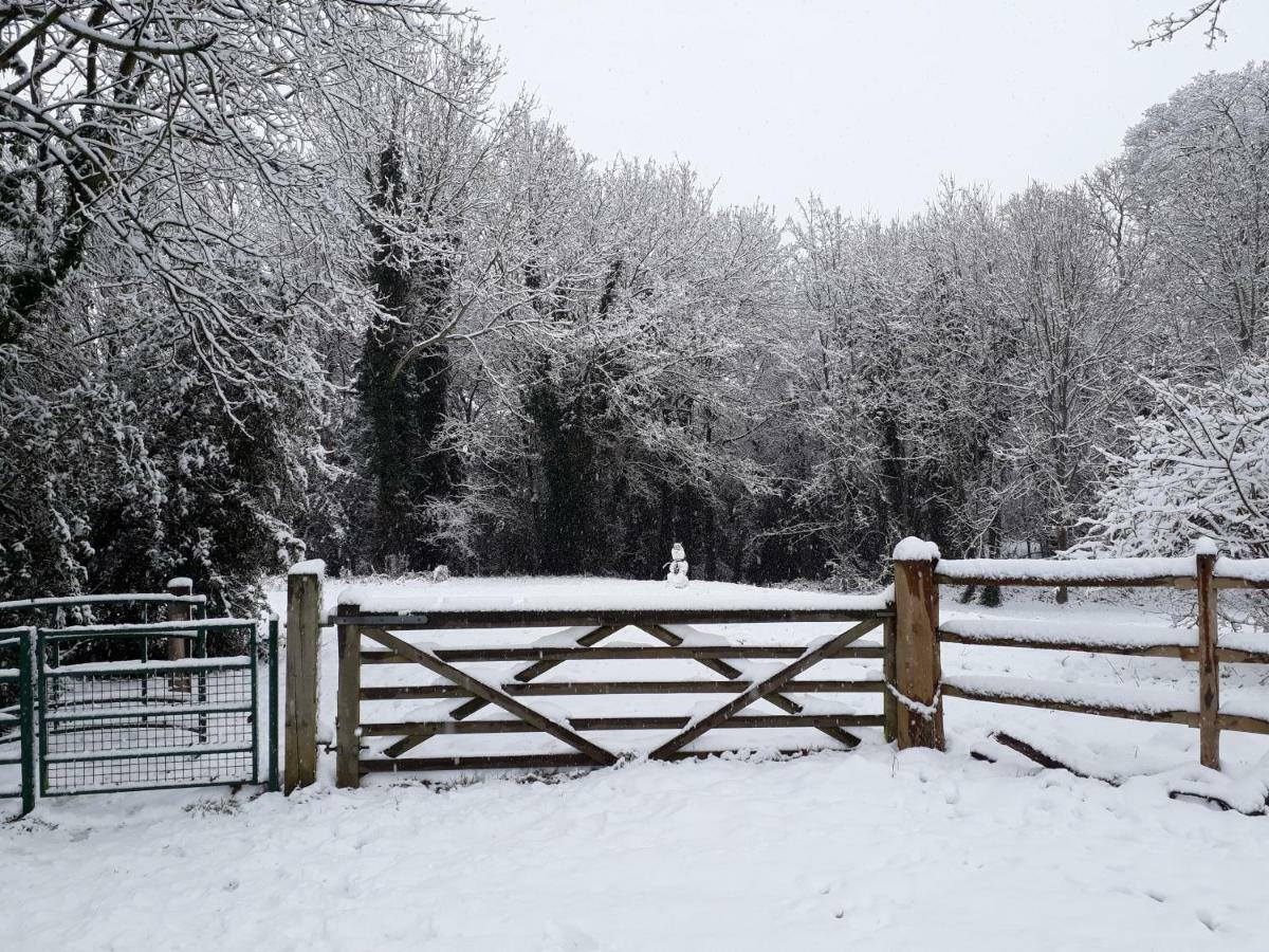 Double Room with Garden View,872229470:JPEG