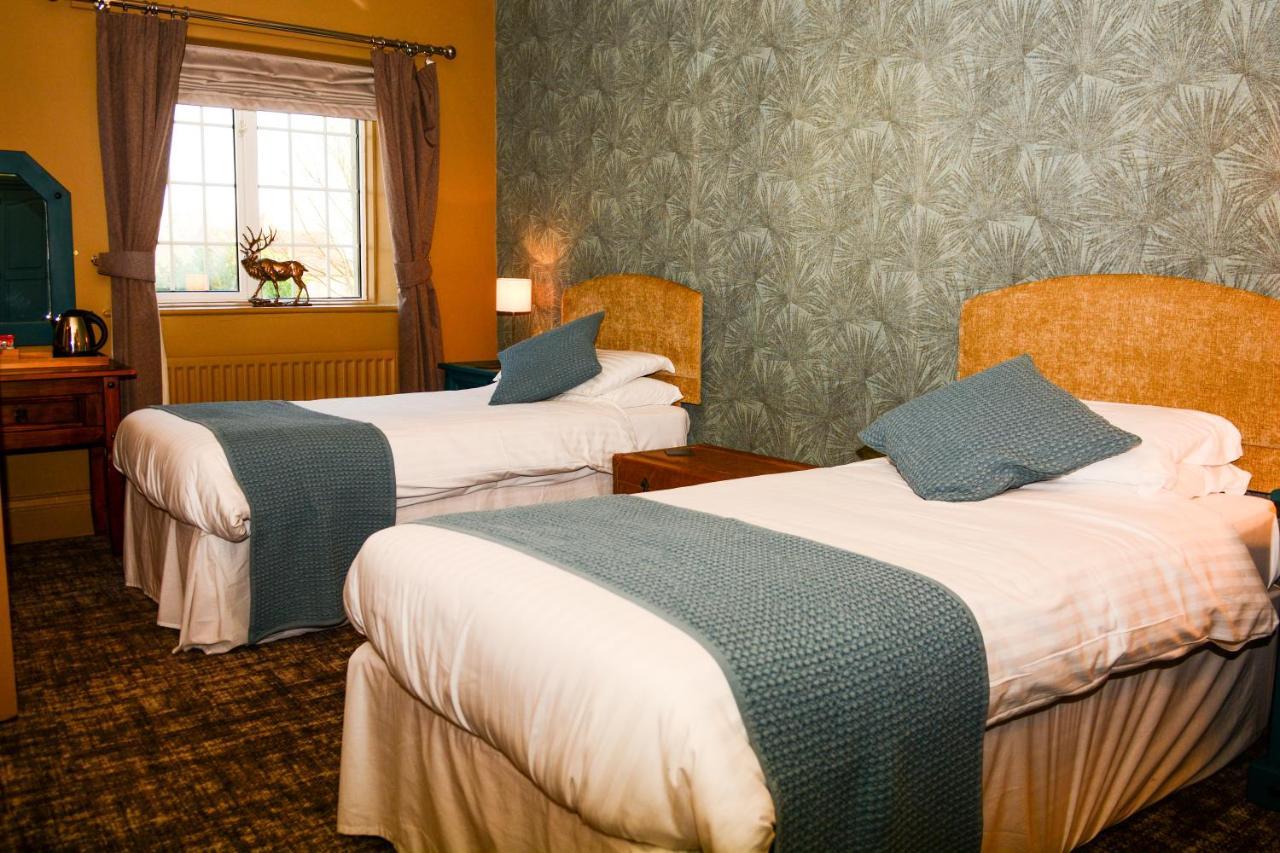 Standard Twin Room,967020244:JPEG