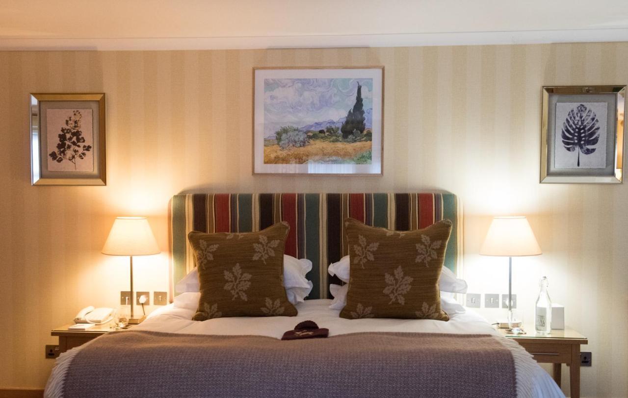 Superior Double Room,1516336255:JPEG