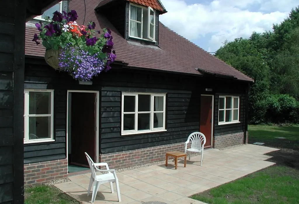 Mucky Duck Inn-1