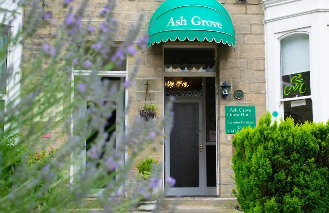 Ash Grove-1