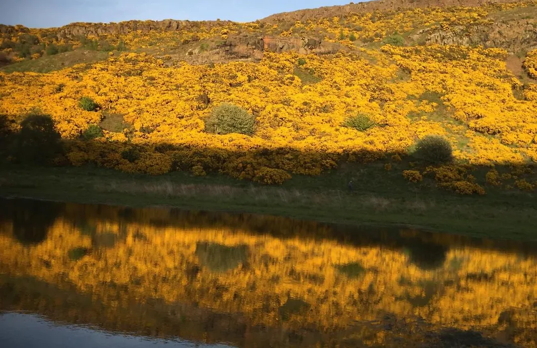 Next Door To Holyrood Palace And Arthur'S Seat-1