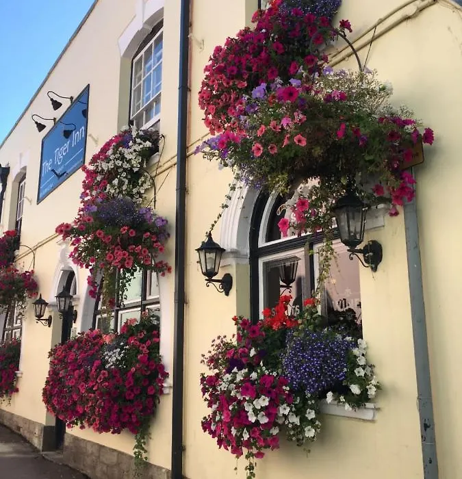Tiger Inn-1