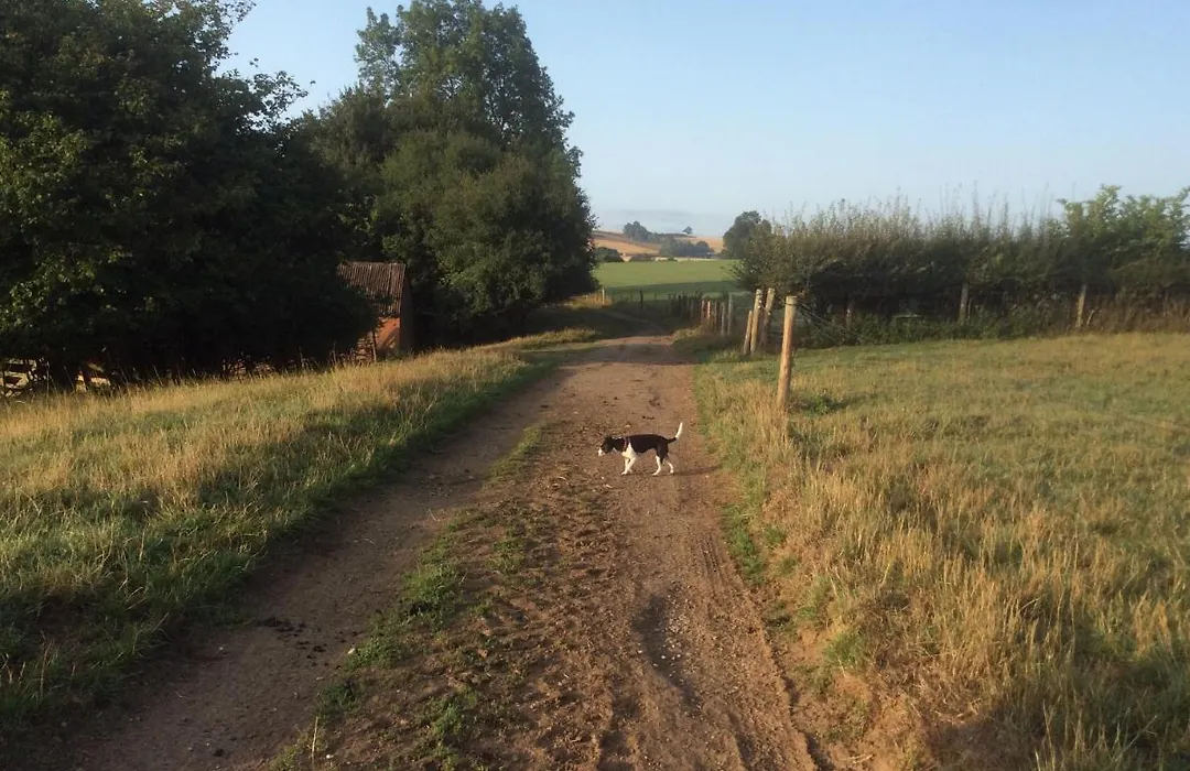 The Rear Of The Plough,Everdon.-1