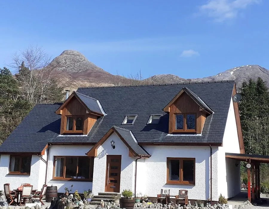 Beechwood Cottage B&B-1