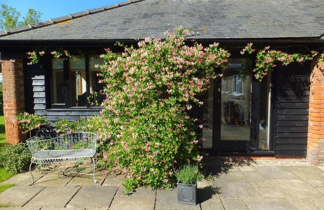 The Old Farmhouse-1