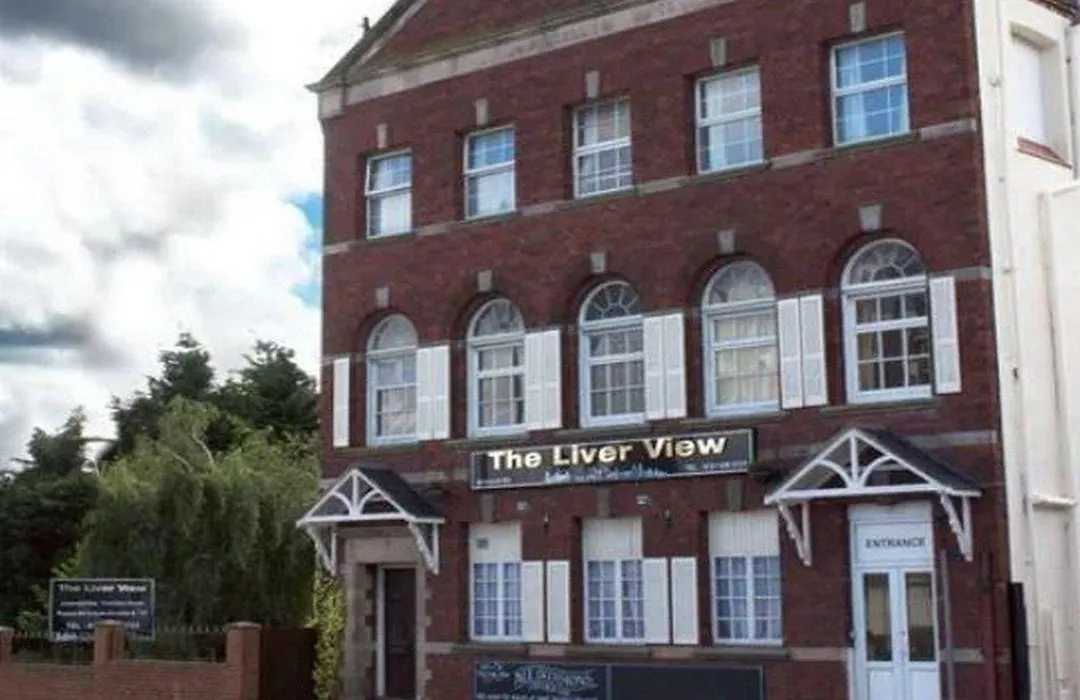 The Liver View-1