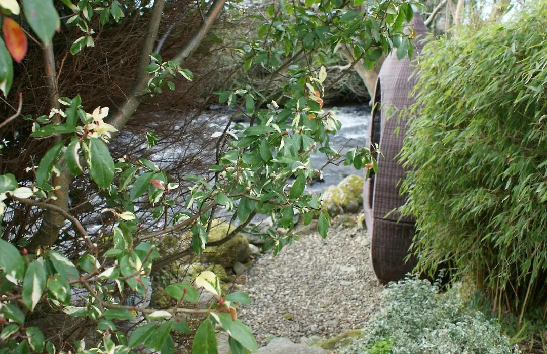 Talybont Bed And Breakfast-1
