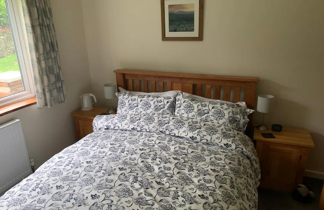 Wingmore-1