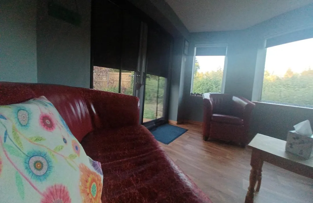 Dream View-1