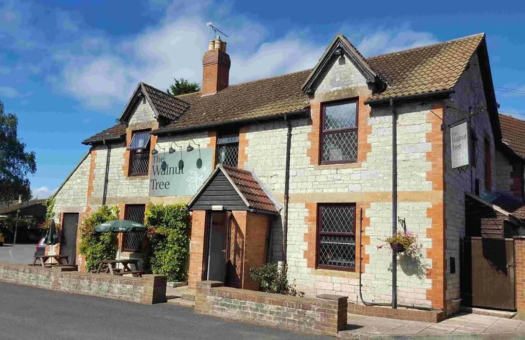 The Walnut Tree-1