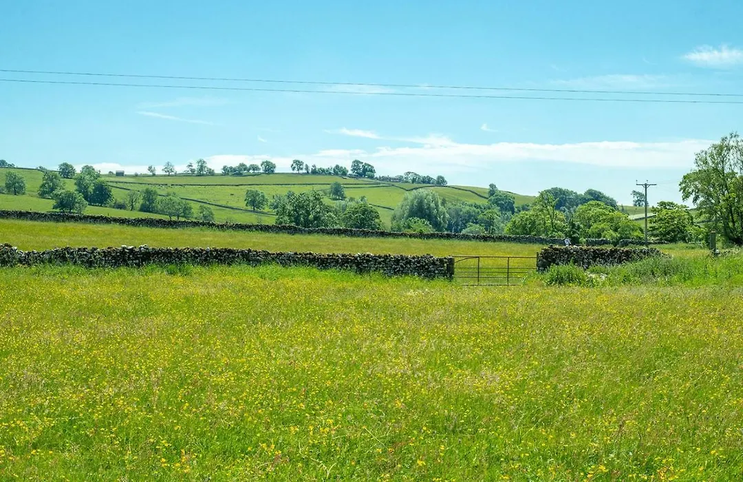 Miresfield Farm Bed & Breakfast-1