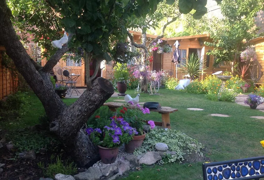 Alice Guest House-1