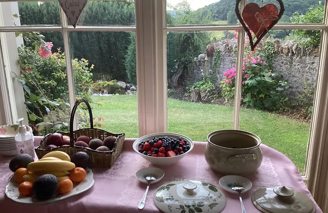 Bryn Guest House-1
