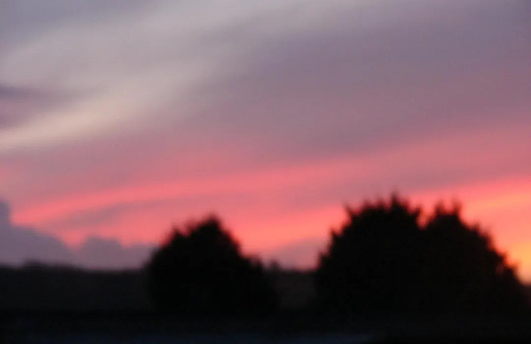 Mullacott Farm-1