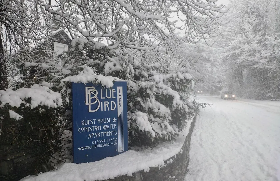 Bluebird Lodge-1