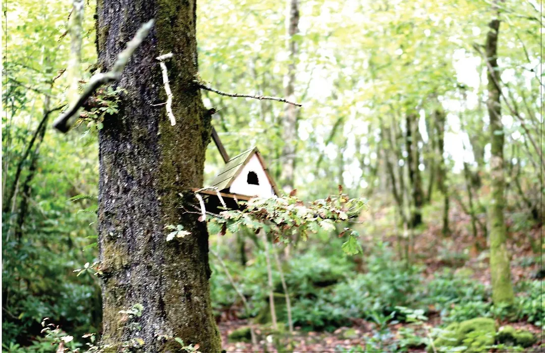 Afon Rhaiadr Country House-1